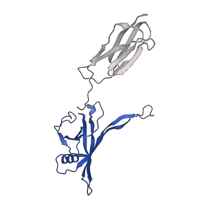 35825_8iyl_j_v1-3
Tail tip conformation 2 of phage lambda tail