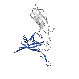 35825_8iyl_k_v1-3
Tail tip conformation 2 of phage lambda tail