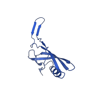 35825_8iyl_m_v1-3
Tail tip conformation 2 of phage lambda tail