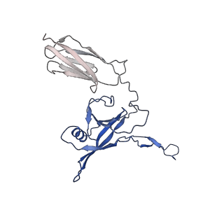 35825_8iyl_n_v1-3
Tail tip conformation 2 of phage lambda tail