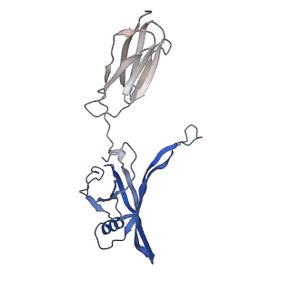 35825_8iyl_o_v1-3
Tail tip conformation 2 of phage lambda tail
