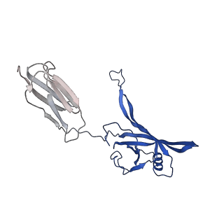 35825_8iyl_v_v1-3
Tail tip conformation 2 of phage lambda tail