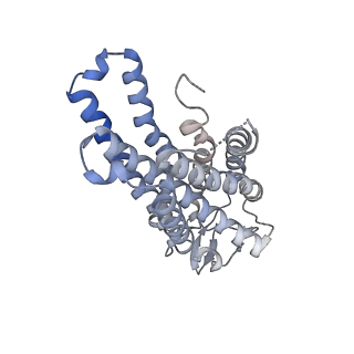 35831_8iyw_R_v1-1
Structure of GSK256073-GPR109A-G-protein complex