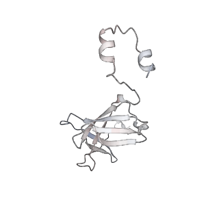 8136_5iyb_S_v1-5
Human core-PIC in the open state