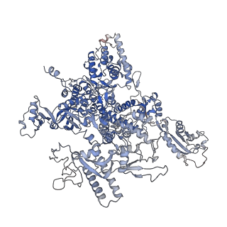 8137_5iyc_A_v1-5
Human core-PIC in the initial transcribing state