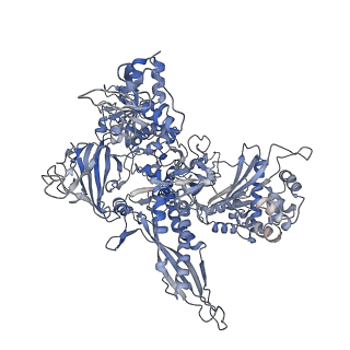 8137_5iyc_B_v1-5
Human core-PIC in the initial transcribing state