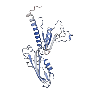 8137_5iyc_C_v1-5
Human core-PIC in the initial transcribing state