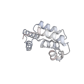 8137_5iyc_D_v1-5
Human core-PIC in the initial transcribing state