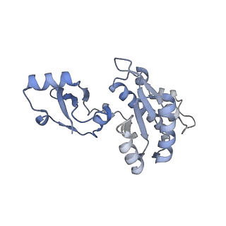 8137_5iyc_E_v1-5
Human core-PIC in the initial transcribing state