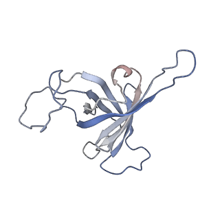 8137_5iyc_H_v1-5
Human core-PIC in the initial transcribing state