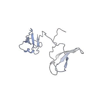 8137_5iyc_I_v1-5
Human core-PIC in the initial transcribing state