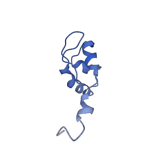 8137_5iyc_J_v1-5
Human core-PIC in the initial transcribing state