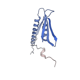 8137_5iyc_K_v1-5
Human core-PIC in the initial transcribing state