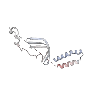 8137_5iyc_N_v1-5
Human core-PIC in the initial transcribing state