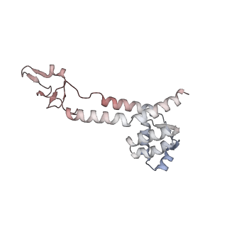 8137_5iyc_Q_v1-5
Human core-PIC in the initial transcribing state