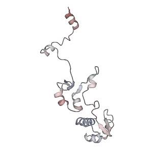 8137_5iyc_R_v1-5
Human core-PIC in the initial transcribing state