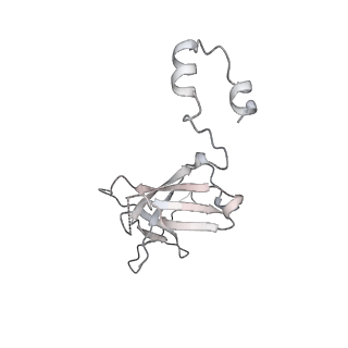 8137_5iyc_S_v1-5
Human core-PIC in the initial transcribing state