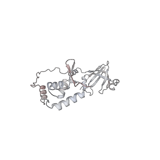 8137_5iyc_T_v1-5
Human core-PIC in the initial transcribing state