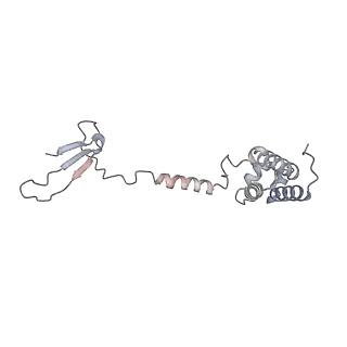 8137_5iyc_U_v1-5
Human core-PIC in the initial transcribing state