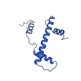 9748_6iy2_A_v1-0
Structure of Snf2-MMTV-A nucleosome complex at shl2 in ADP state