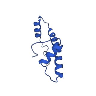 9748_6iy2_B_v1-0
Structure of Snf2-MMTV-A nucleosome complex at shl2 in ADP state