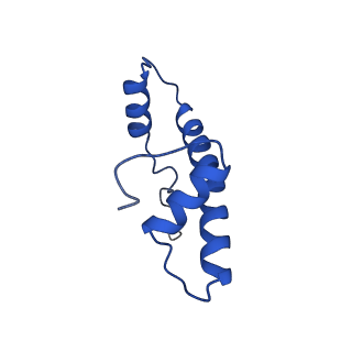 9748_6iy2_B_v1-1
Structure of Snf2-MMTV-A nucleosome complex at shl2 in ADP state