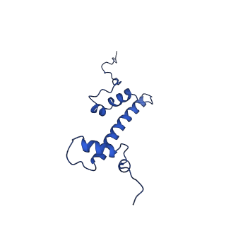 9748_6iy2_C_v1-0
Structure of Snf2-MMTV-A nucleosome complex at shl2 in ADP state