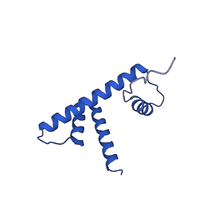 9748_6iy2_D_v1-0
Structure of Snf2-MMTV-A nucleosome complex at shl2 in ADP state