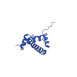 9748_6iy2_E_v1-1
Structure of Snf2-MMTV-A nucleosome complex at shl2 in ADP state