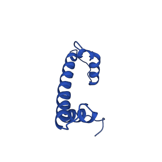 9748_6iy2_F_v1-1
Structure of Snf2-MMTV-A nucleosome complex at shl2 in ADP state