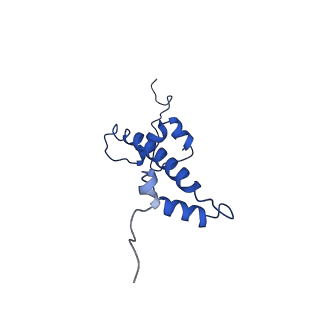 9748_6iy2_G_v1-0
Structure of Snf2-MMTV-A nucleosome complex at shl2 in ADP state