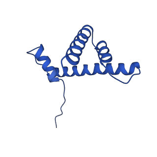 9748_6iy2_H_v1-1
Structure of Snf2-MMTV-A nucleosome complex at shl2 in ADP state