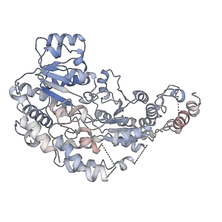 9748_6iy2_O_v1-0
Structure of Snf2-MMTV-A nucleosome complex at shl2 in ADP state