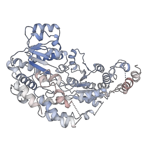 9748_6iy2_O_v1-1
Structure of Snf2-MMTV-A nucleosome complex at shl2 in ADP state