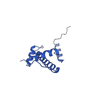 9749_6iy3_A_v1-0
Structure of Snf2-MMTV-A nucleosome complex at shl-2 in ADP state