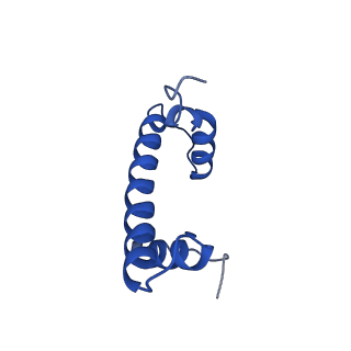 9749_6iy3_B_v1-1
Structure of Snf2-MMTV-A nucleosome complex at shl-2 in ADP state