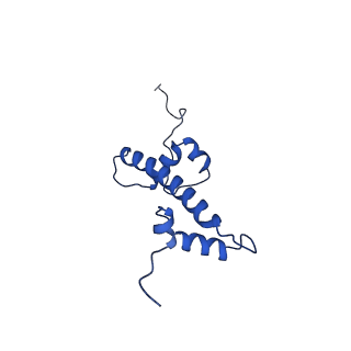 9749_6iy3_C_v1-0
Structure of Snf2-MMTV-A nucleosome complex at shl-2 in ADP state