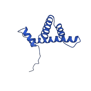 9749_6iy3_D_v1-0
Structure of Snf2-MMTV-A nucleosome complex at shl-2 in ADP state