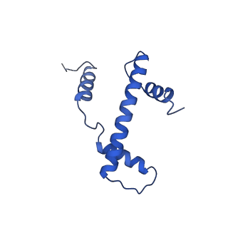 9749_6iy3_E_v1-0
Structure of Snf2-MMTV-A nucleosome complex at shl-2 in ADP state
