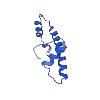9749_6iy3_F_v1-0
Structure of Snf2-MMTV-A nucleosome complex at shl-2 in ADP state