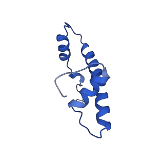 9749_6iy3_F_v1-1
Structure of Snf2-MMTV-A nucleosome complex at shl-2 in ADP state