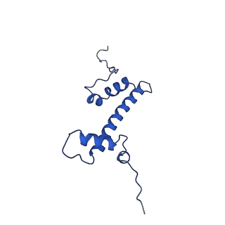 9749_6iy3_G_v1-0
Structure of Snf2-MMTV-A nucleosome complex at shl-2 in ADP state