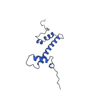 9749_6iy3_G_v1-1
Structure of Snf2-MMTV-A nucleosome complex at shl-2 in ADP state