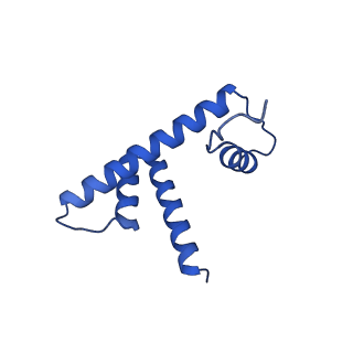 9749_6iy3_H_v1-1
Structure of Snf2-MMTV-A nucleosome complex at shl-2 in ADP state