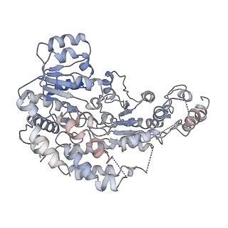9749_6iy3_O_v1-0
Structure of Snf2-MMTV-A nucleosome complex at shl-2 in ADP state