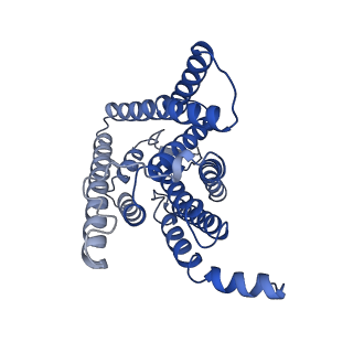 9751_6iyc_B_v1-2
Recognition of the Amyloid Precursor Protein by Human gamma-secretase
