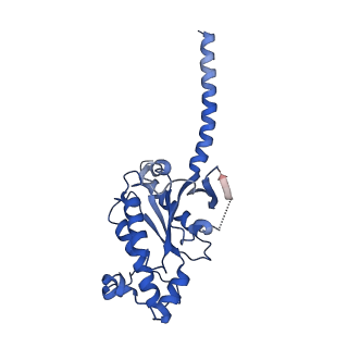 35838_8izb_A_v1-1
Lysophosphatidylserine receptor GPR174-Gs complex