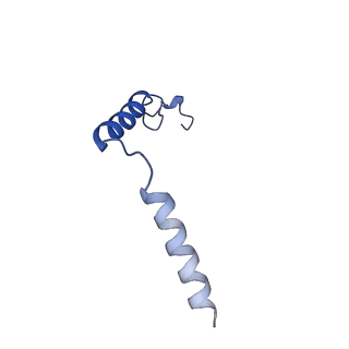 35838_8izb_C_v1-1
Lysophosphatidylserine receptor GPR174-Gs complex