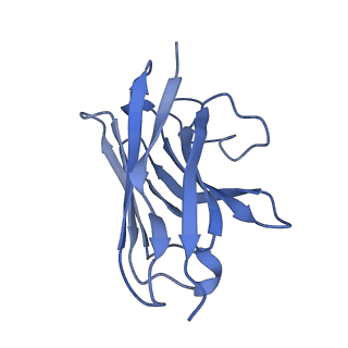 35838_8izb_N_v1-1
Lysophosphatidylserine receptor GPR174-Gs complex