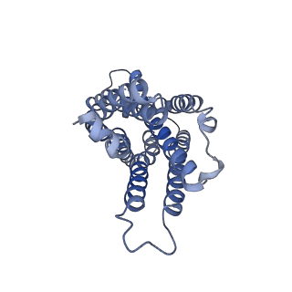 35838_8izb_R_v1-1
Lysophosphatidylserine receptor GPR174-Gs complex